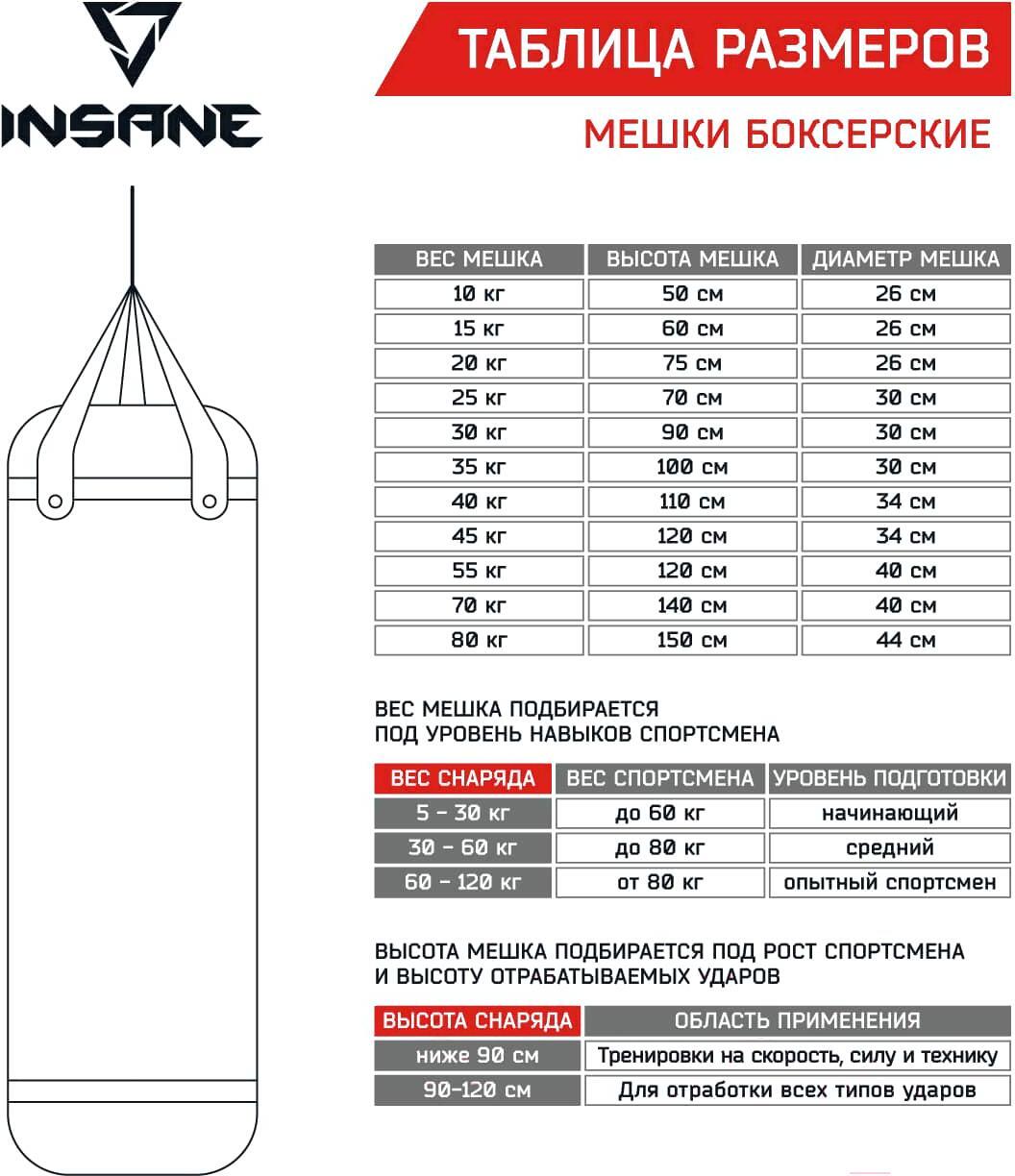 

Боксерский мешок Insane PB-01 30 кг черный