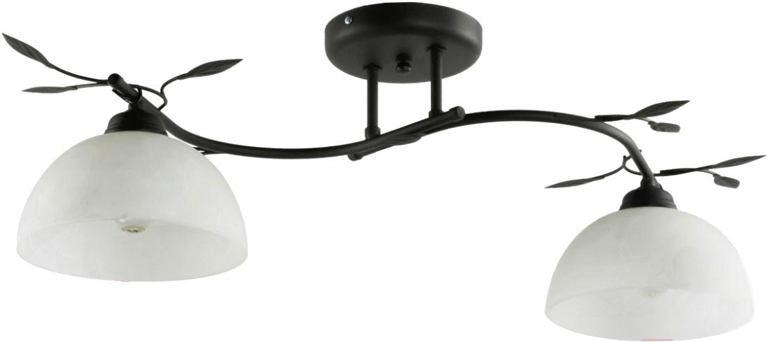 

Потолочный светильник Lampex Viola 2B 648/2B CZA, Viola 2B 648/2B CZA