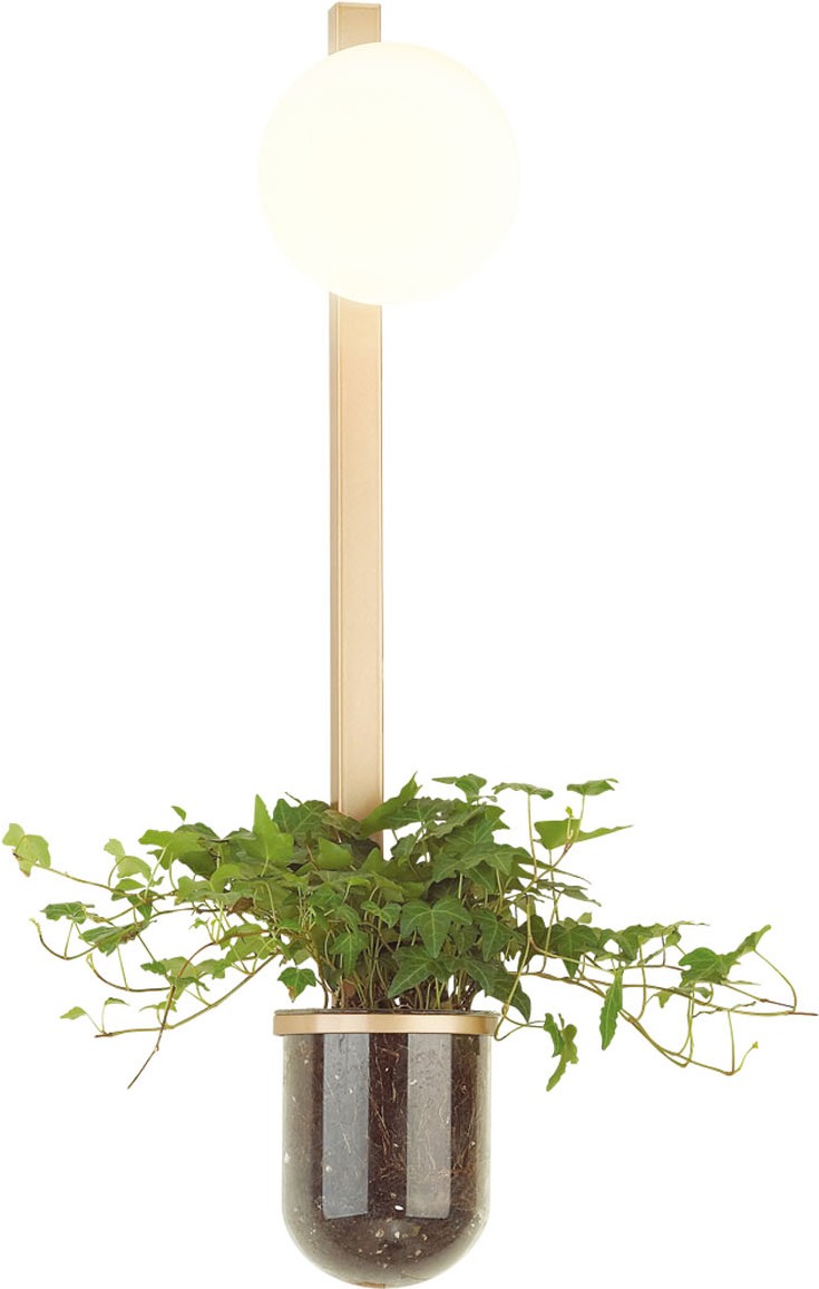

Бра Odeon Light Flower 4682/1WB