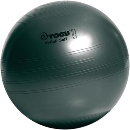 

Фитбол Togu My Ball Soft 55 см черный пелрамутровый [TG\418555\AB-55-00], My Ball Soft 55 см