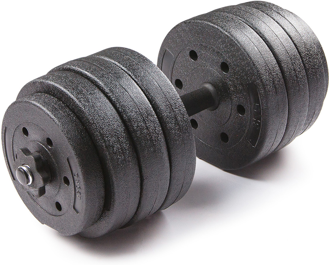 

Набор гантелей TREX Sport 40 кг (8*3+4*2,5+4*1,25+2 грифа*50 см)