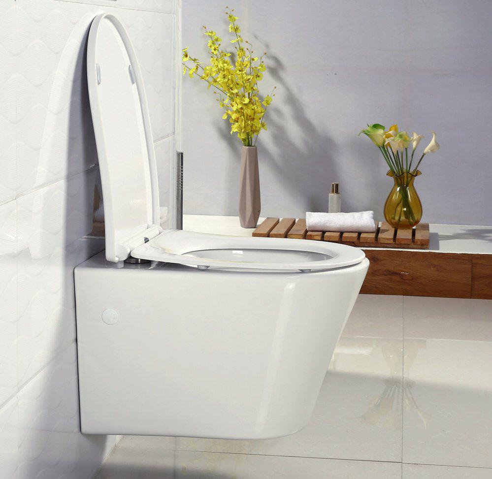 

Сиденье для унитаза BelBagno BB2031SC, BB2031SC