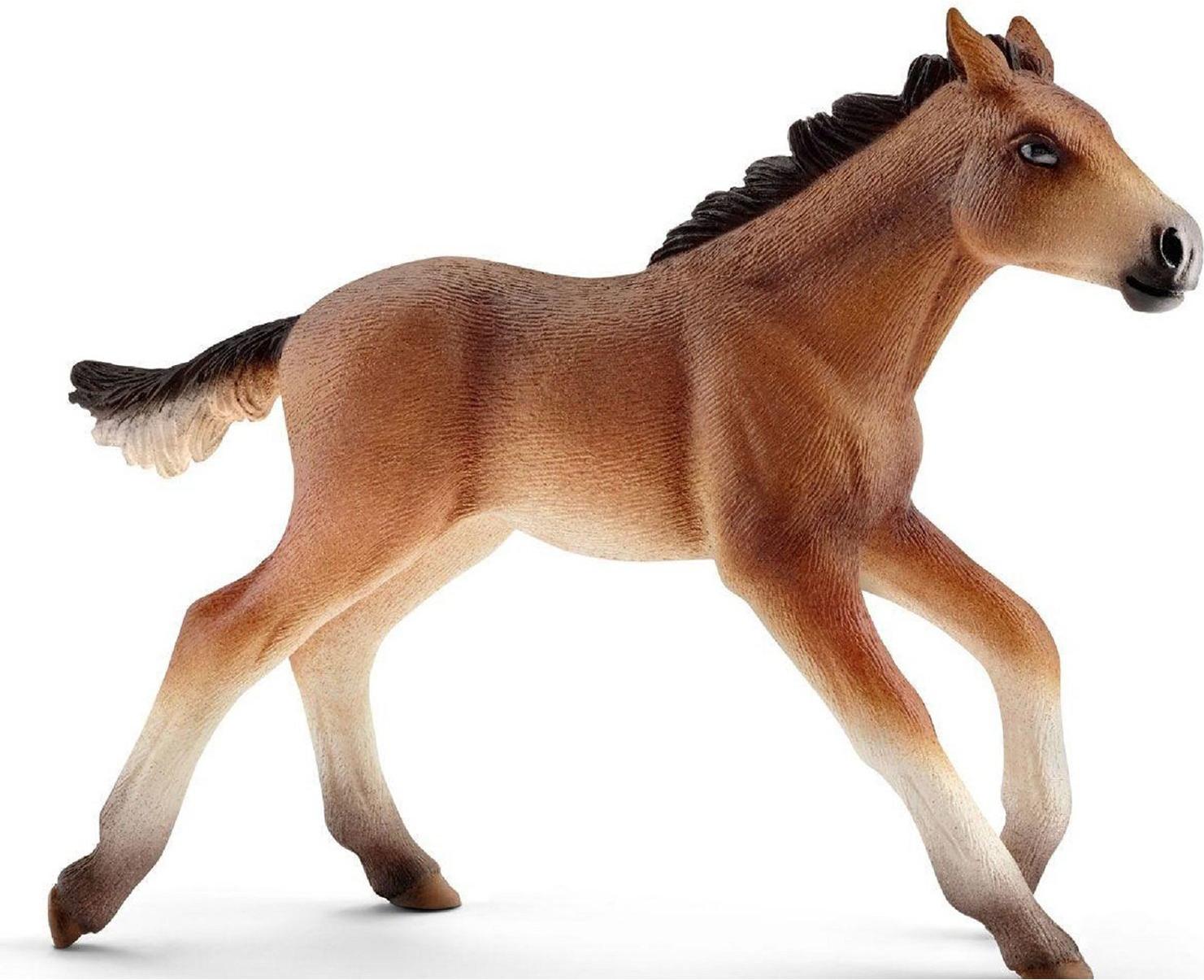 

Игрушка Schleich Мустанг жеребенок [13807], Мустанг жеребенок