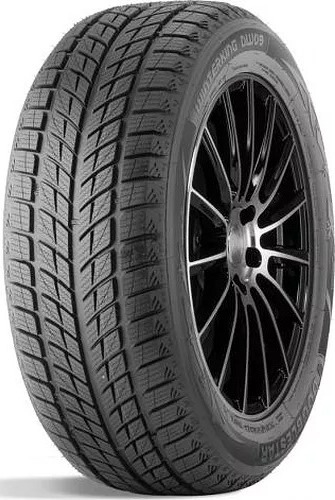 

Автомобильные шины DoubleStar DW09 275/40R20 106V