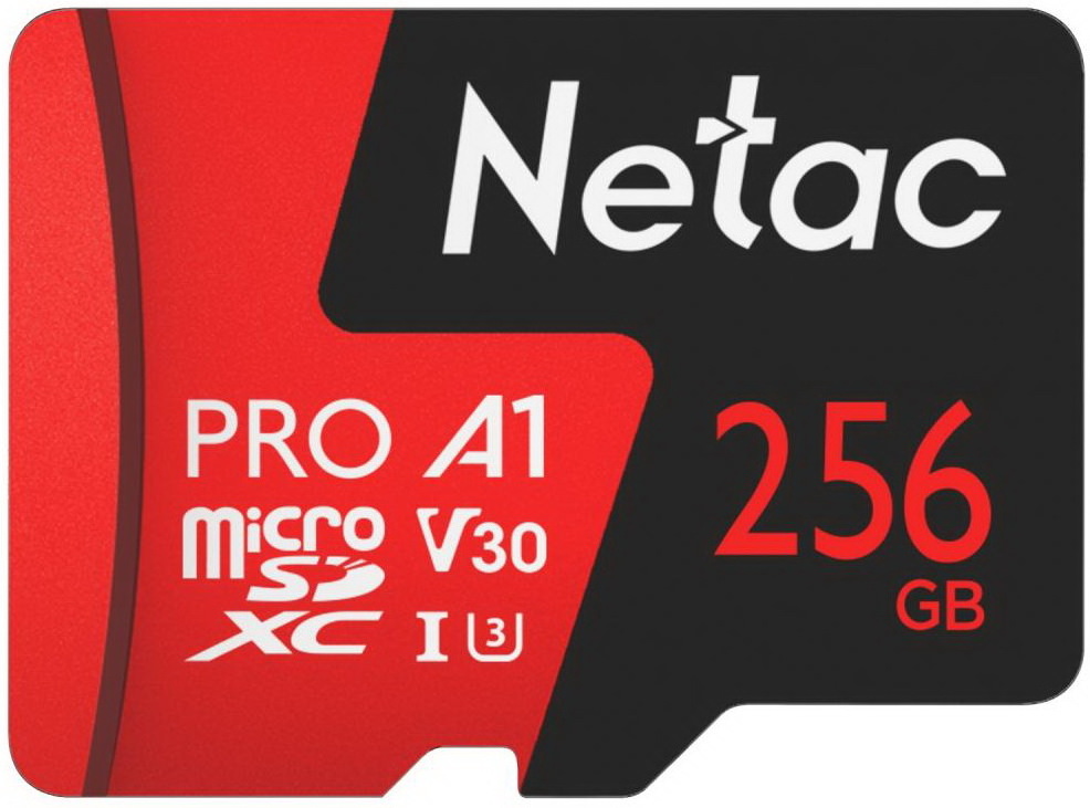 

Карта памяти Netac NT02P500PRO-256G-S