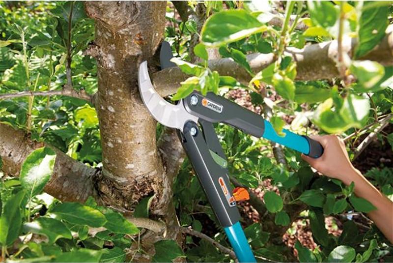 

Сучкорез Gardena Comfort 8773 [08773-20.000.00], Сучкорез Gardena Comfort 8773 08773-20.000.00