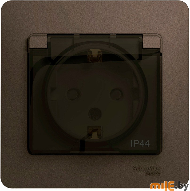 

Розетка Schneider Electric Glossa GSL000848