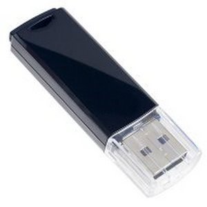 

USB Flash Perfeo C06 4GB (черный) [PF-C06B004], C06 4GB