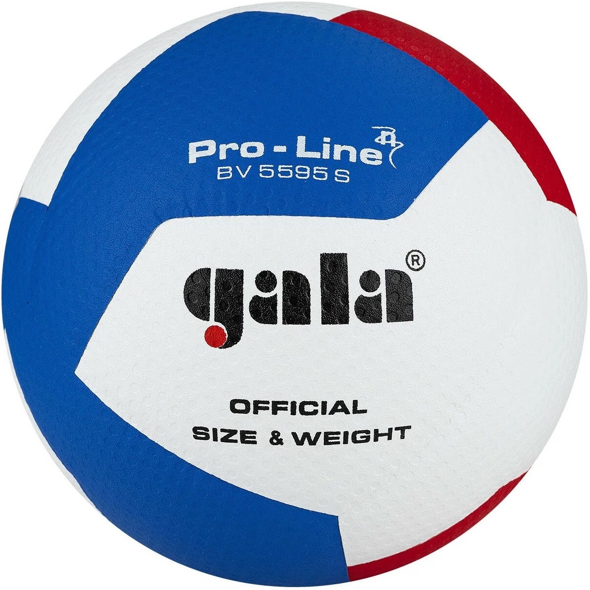 

Волейбольный мяч Gala Pro-Line 12 5 (BV5595SA)
