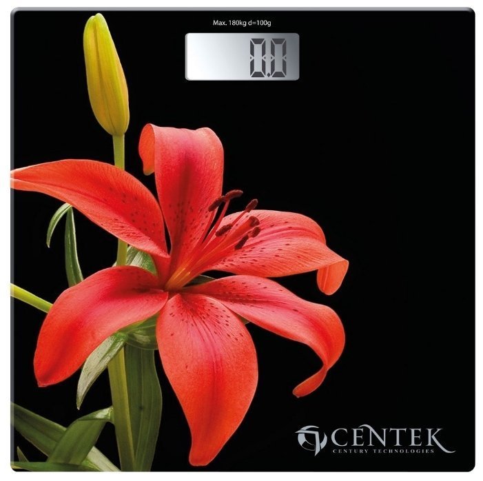

Напольные весы CENTEK CT-2416, CT-2416