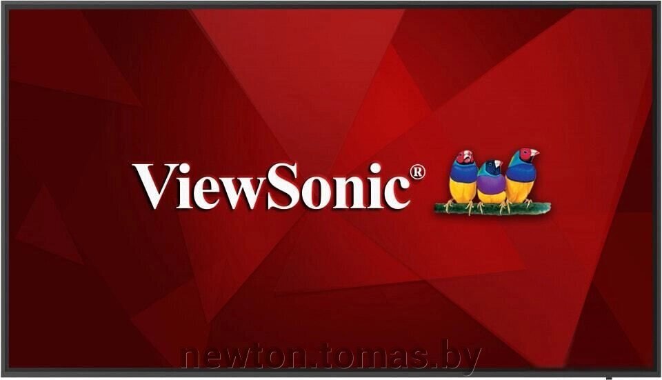 

Информационная панель ViewSonic CDE6520