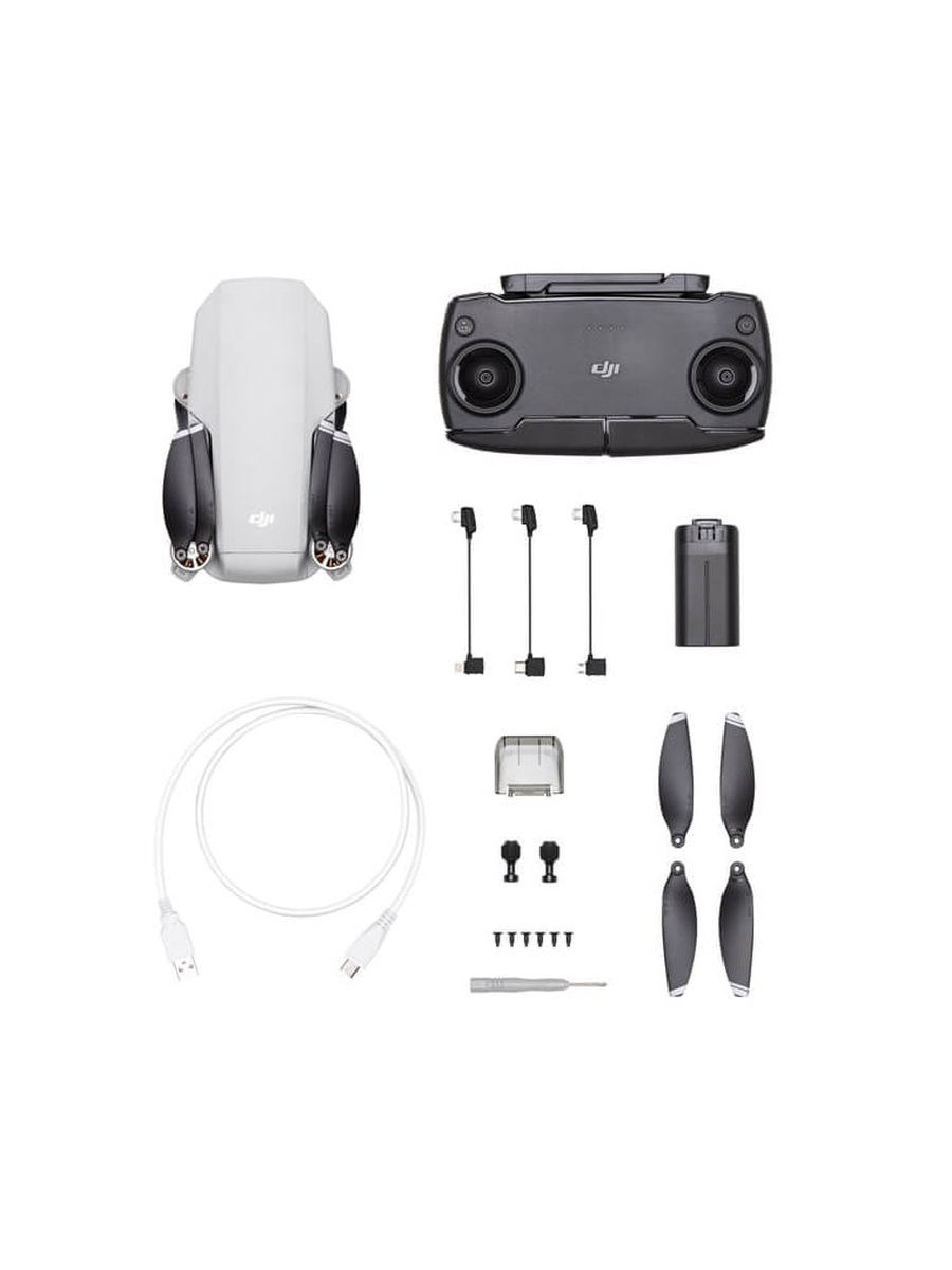 

Радиоуправляемая авиамодель DJI Mavic Mini, Mavic Mini