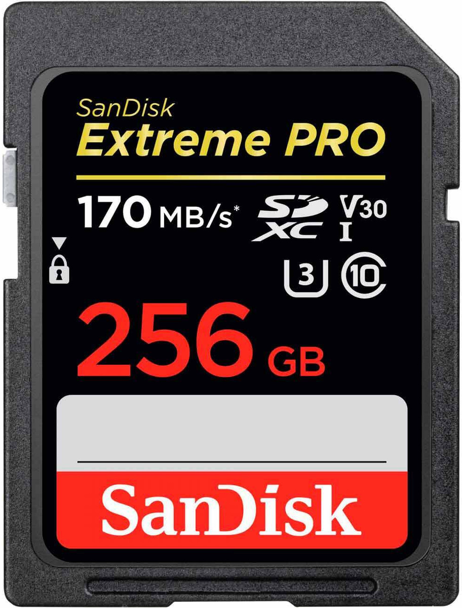 

Карта памяти SanDisk SDXC 256GB Extreme Pro UHS-I Class 3 (SDSDXXD-256G-GN4IN)