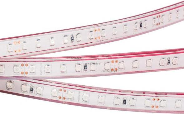 

Arlight Лента RTW 2-5000PGS 24V Blue 2x (3528, 600 LED, LUX) [014749], Лента RTW 2-5000PGS 24V Blue 2x (3528, 600 LED, LUX)