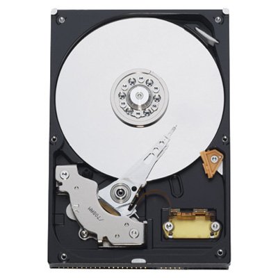 

Жесткий диск WD 250 Gb, 250 Gb