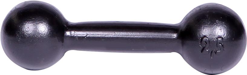 

Гантель цельная MB Barbell литая 2,5 кг [СГ000000102], литая 2,5 кг
