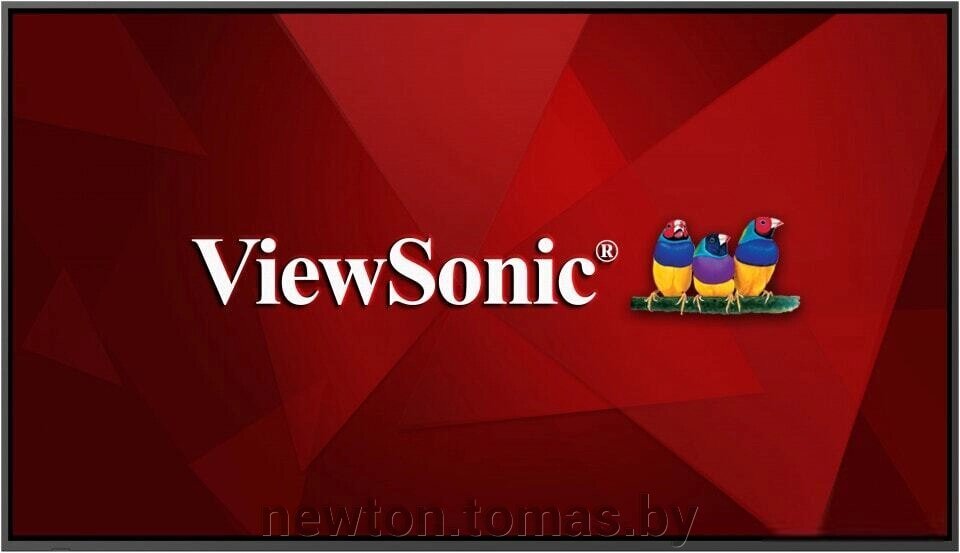 

Монитор ViewSonic CDE8620