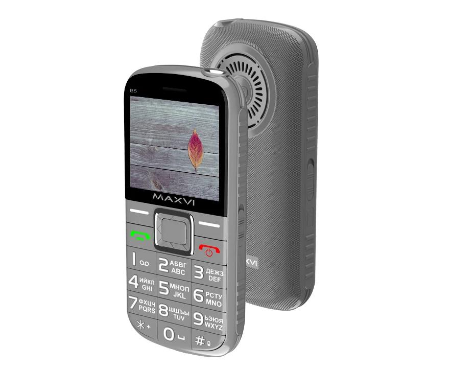

Мобильный телефон Maxvi B5 Grey, B5