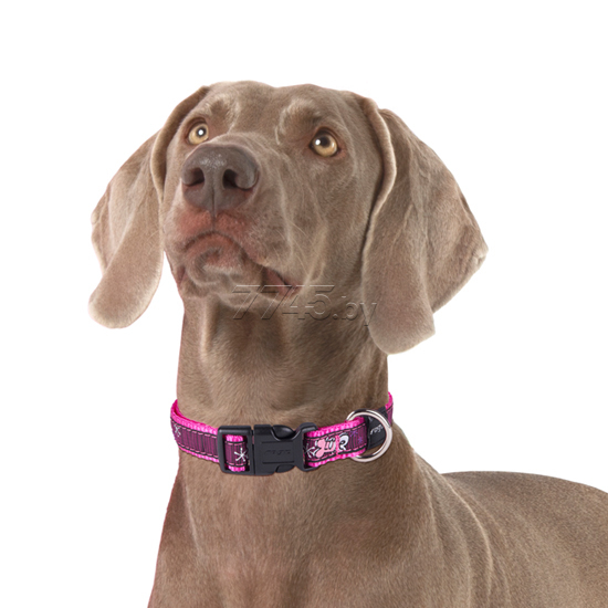 

Ошейник, поводок, намордник Rogz Beach Bum Halsband Multi Bone Black, Beach Bum Halsband Multi