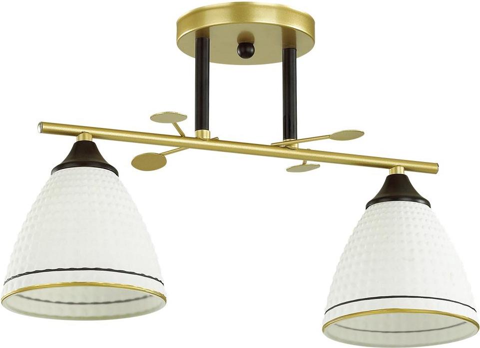 

Накладная люстра Lumion 4544/2C