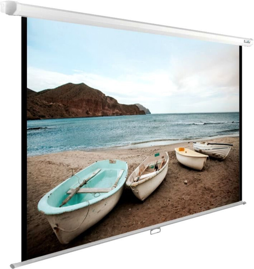 

Проекционный экран Cactus WallExpert [CS-PSWE-220X138-WT], Проекционный экран Cactus WallExpert CS-PSWE-220X138-WT