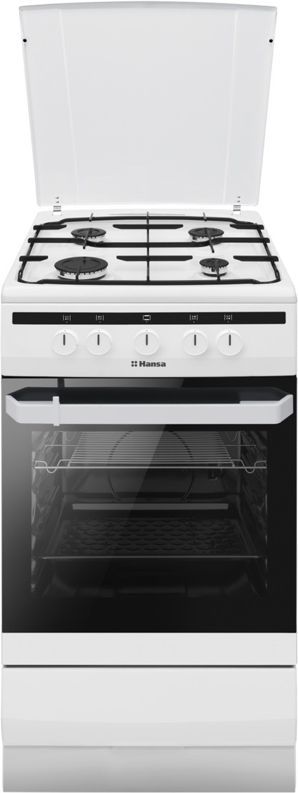 

Кухонная плита Hansa FCGW51003