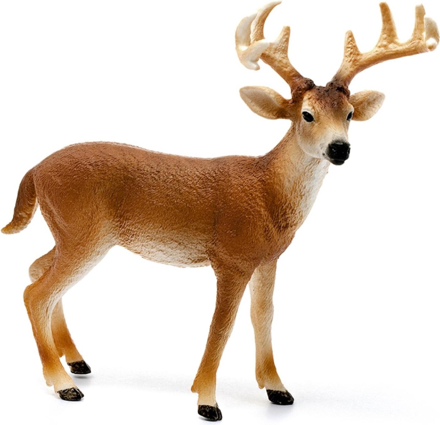 

Игрушка Schleich Белохвостый олень-самец [14818], Белохвостый олень-самец
