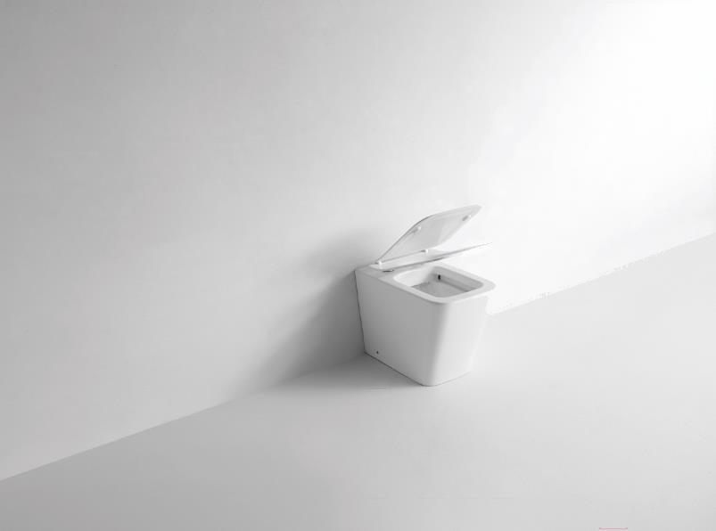 

Унитаз CeramaLux NS 3170, NS 3170