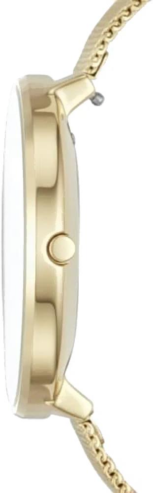 

Наручные часы Skagen SKW1104, SKW1104