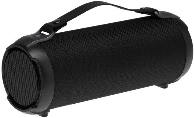 

Портативная акустика Soundmax SM-PS5020B черный