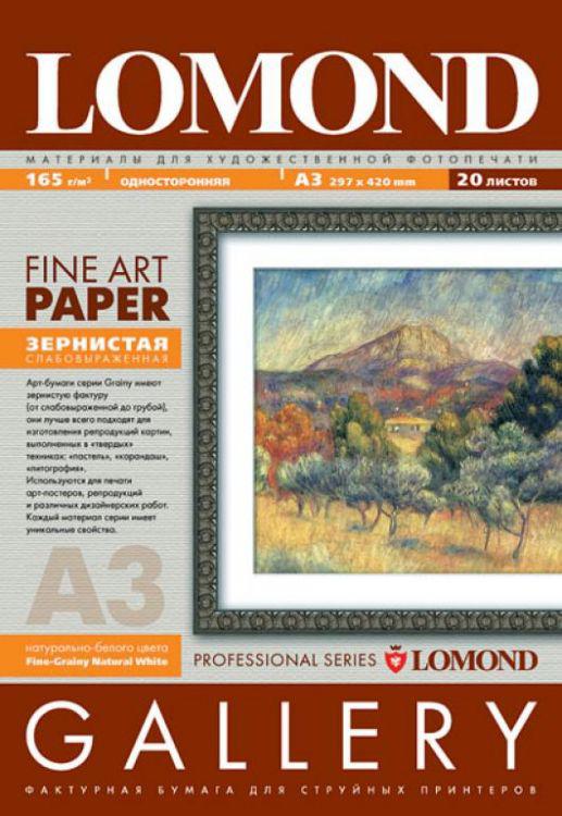 

Холст Lomond Fine-Grainy Natural White A3 165 г/м2 20 листов (0912032), Fine-Grainy Natural White A3 165 г/м2 20 листов