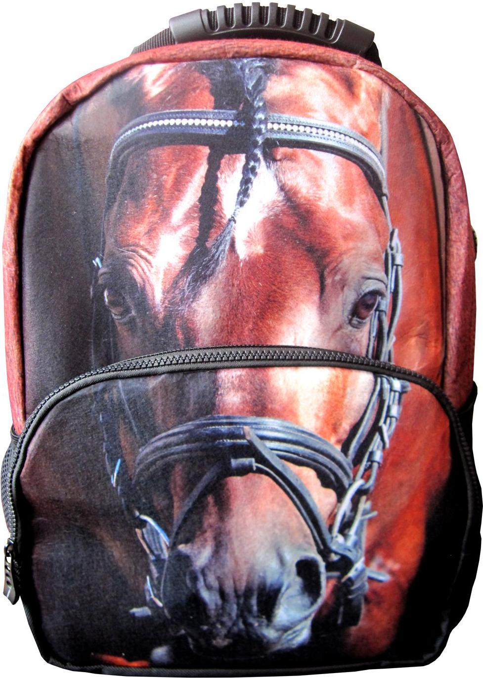 

Школьный рюкзак Hatber HD Horse [NR_00058], Школьный рюкзак Hatber HD Horse NR_00058