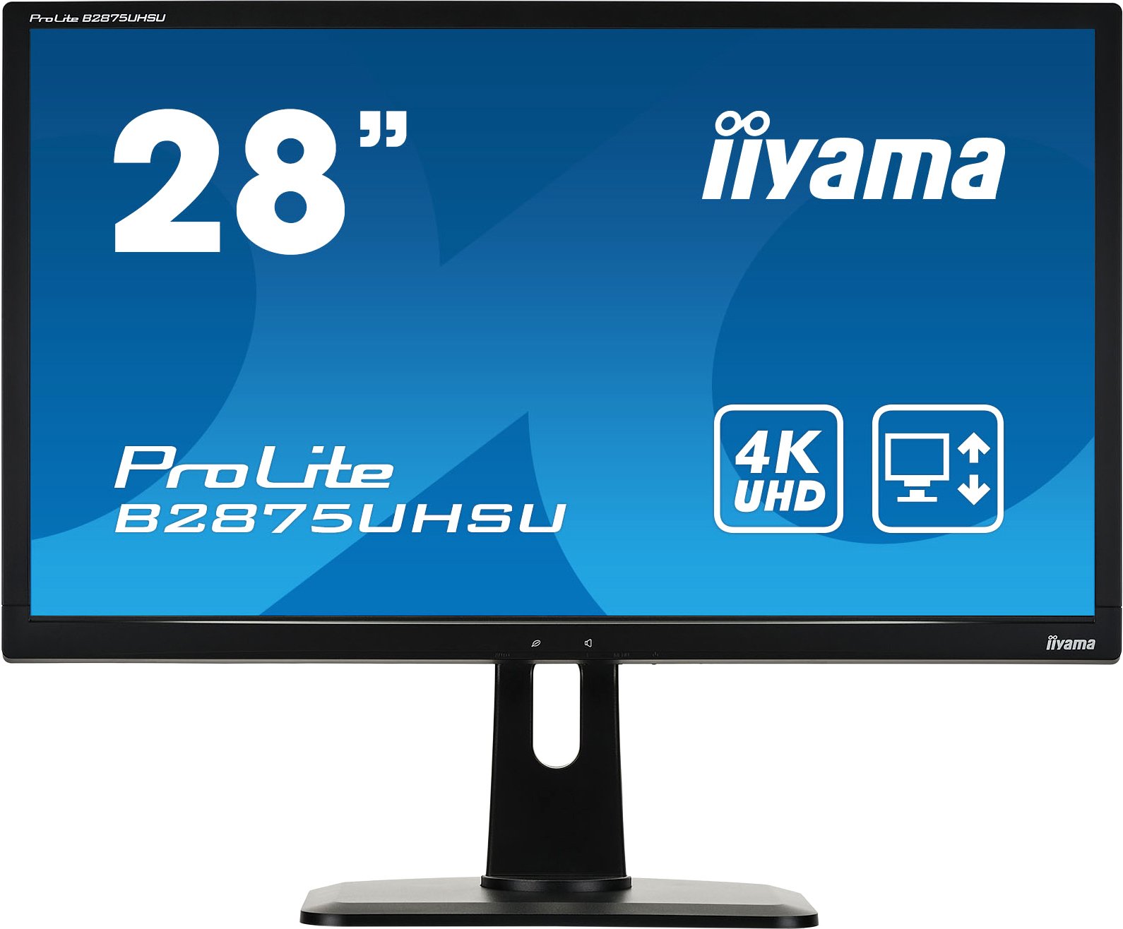 

Монитор Iiyama ProLite B2875UHSU-B1, ProLite B2875UHSU-B1