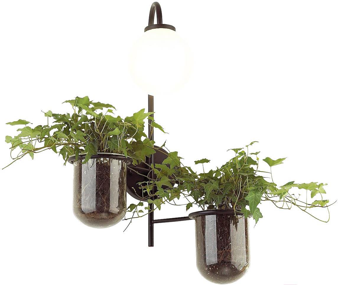 

Бра Odeon Light Flower 4681/1W, Flower 4681/1W