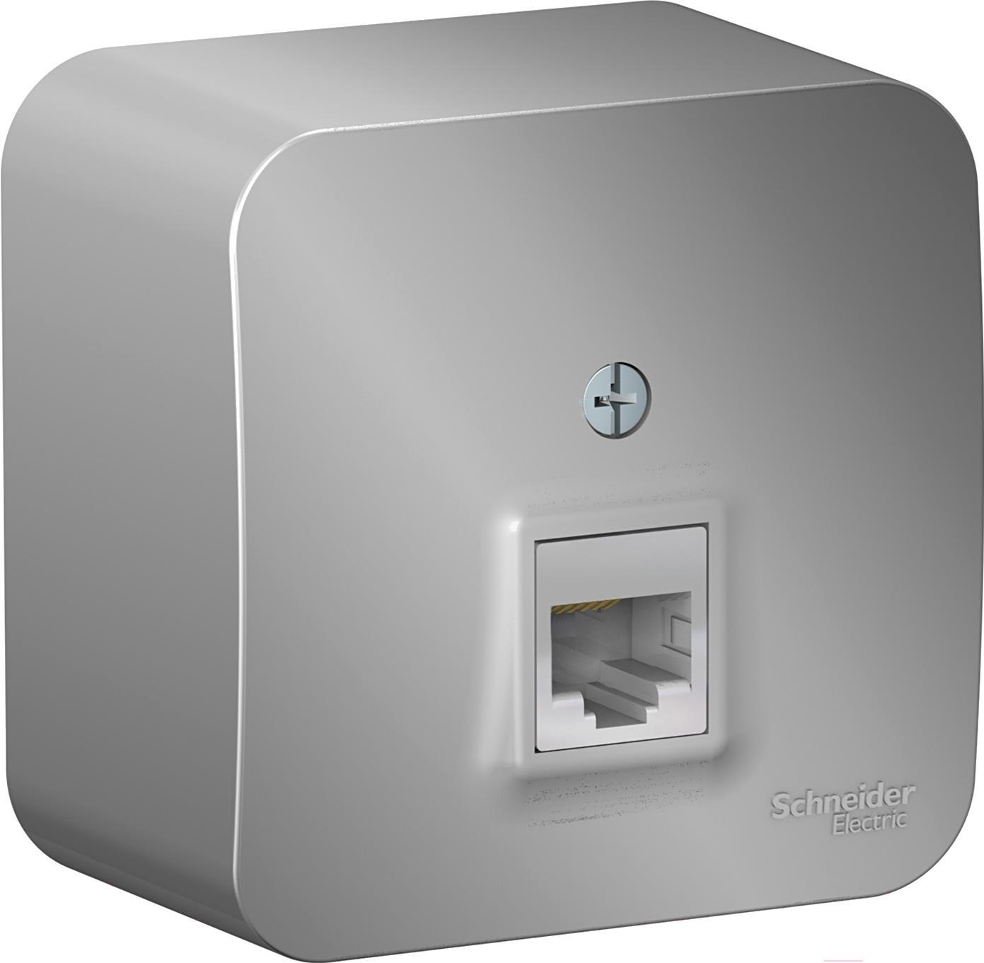 

Розетка Schneider Electric Blanca алюминий [BLNIA045003], Blanca