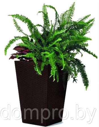 

Кашпо Keter Large Rattan [228925], Кашпо Keter Large Rattan 228925 (коричневый)