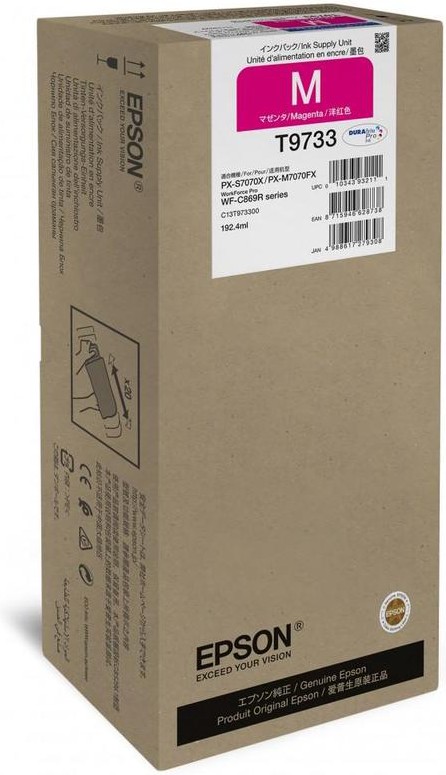 

Чернила Epson C13T973300