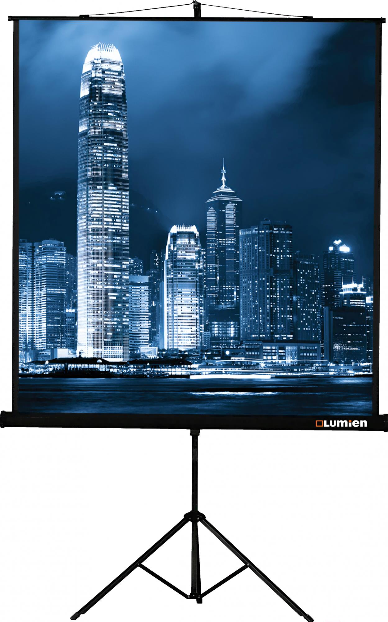 

Проекционный экран Lumien Master View 220x220 (LMV-100111)
