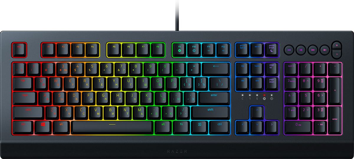 

Клавиатура Razer Cynosa V2 [RZ03-03400700-R3R1], Клавиатура Razer Cynosa v2