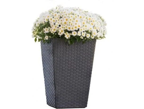 

Кашпо Keter Medium Rattan Planter 55л графит [228974], Кашпо Keter Medium Rattan Planter 55л 228974 графит