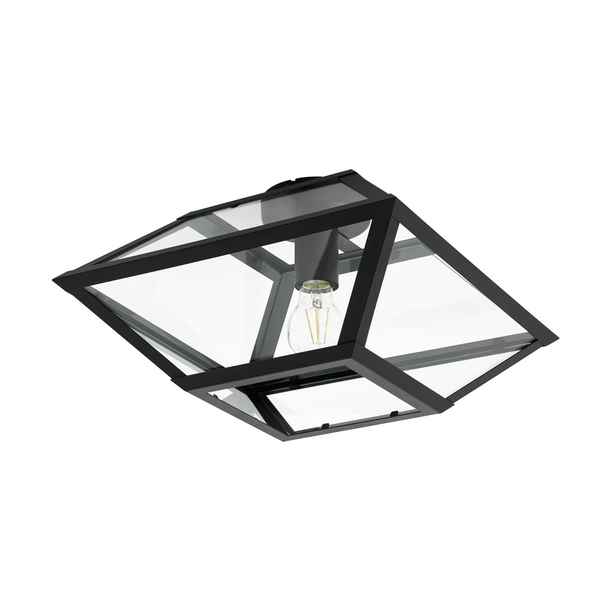 

Накладной светильник EGLO Casefabre, 1х60W (E27), 370х370, H215, cталь черный/cтекло, прозрачный [98356], Casefabre, 1х60W (E27), 370х370, H215, cталь