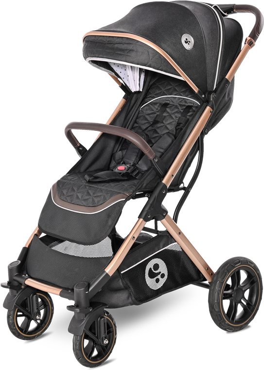 

Детская коляска Lorelli Storm Luxe Black 2021 [10021692186], Детская коляска Lorelli Storm Luxe Black 2021 10021692186