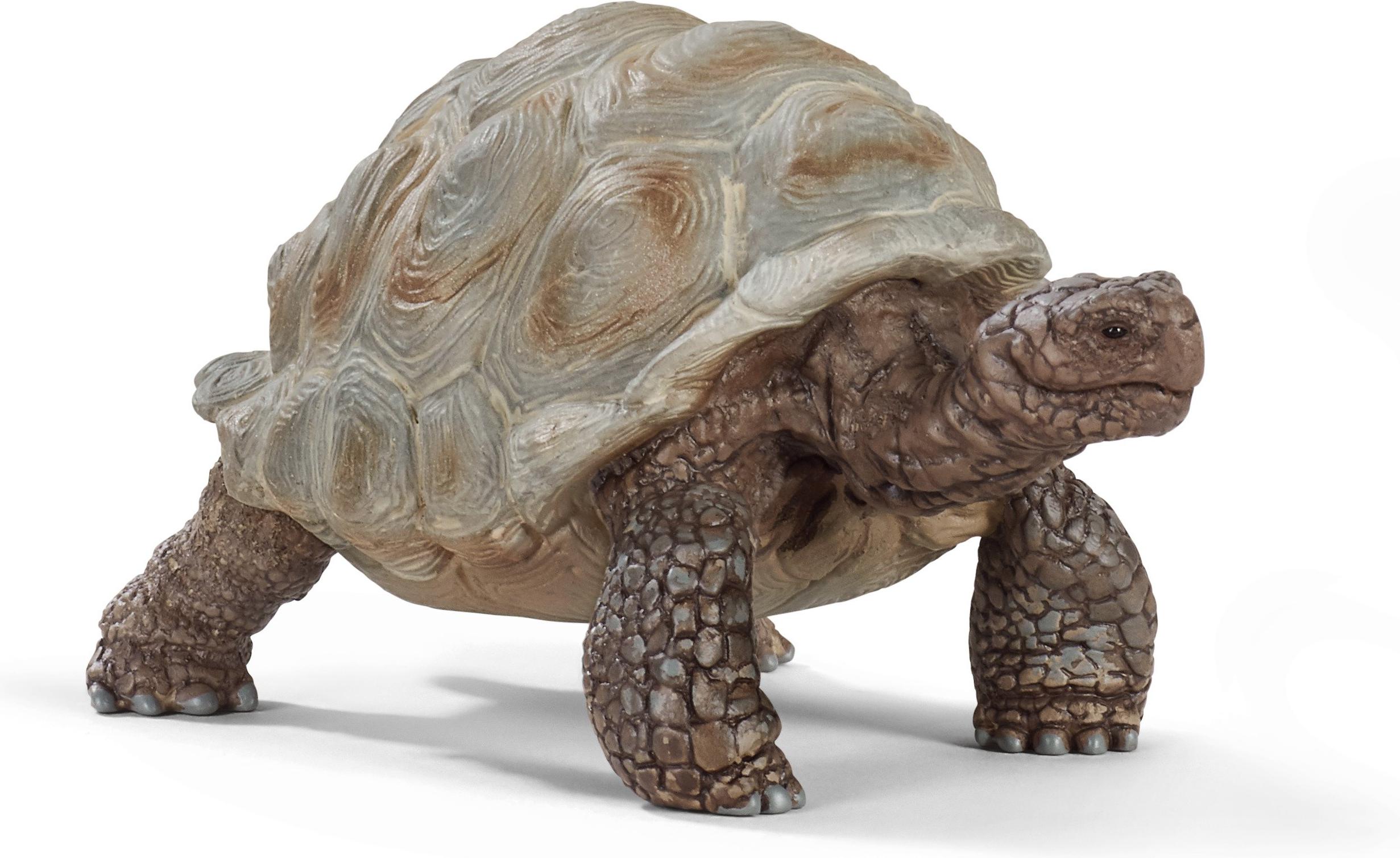 

Игрушка Schleich Гигантская черепаха [14824], Гигантская черепаха