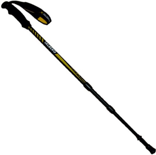 

Треккинговые палки Talberg Classic Pole черный