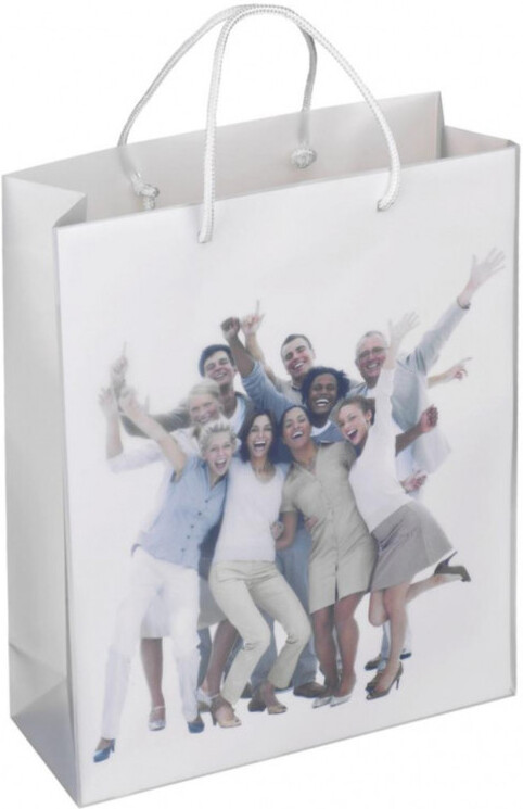 

Пакет для печати Xerox 003R98796, Пакет для печати Xerox Carrier Bag 260x323x100мм 50 шт 003R98796