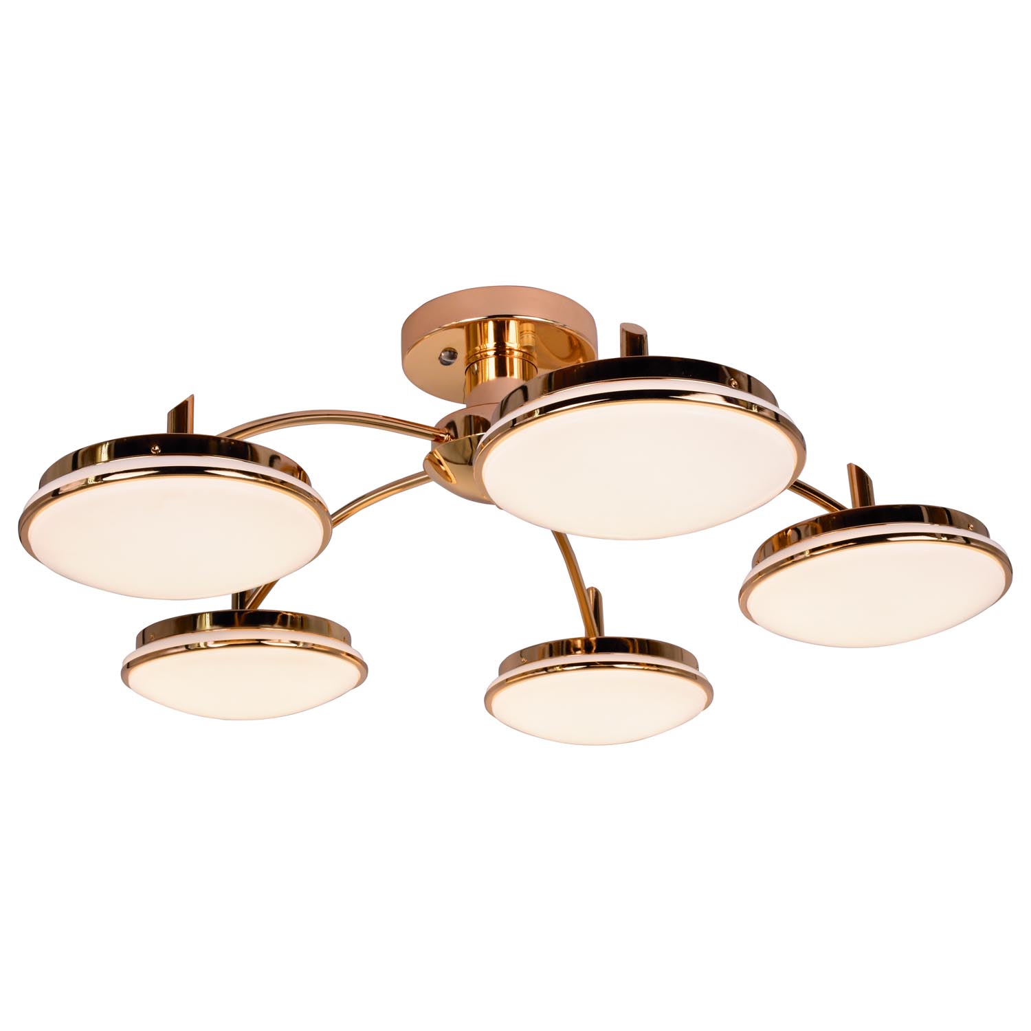 

F-Promo 2473-5P, 2473-5P