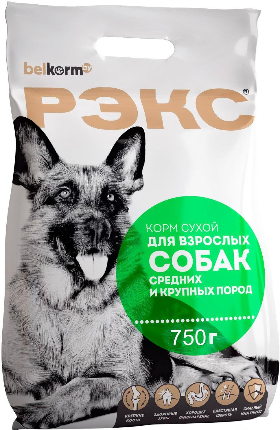 

Корм для собак Рэкс для взрослых собак средних и крупных пород 0,75 кг, Корм для собак Рэкс для взрослых собак средних и крупных пород 0,75 кг (КСС-12 Б4 ЖБН-135)