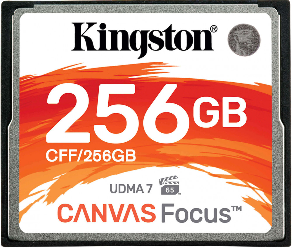 

Карта памяти Kingston CFF/256GB, CFF/256GB