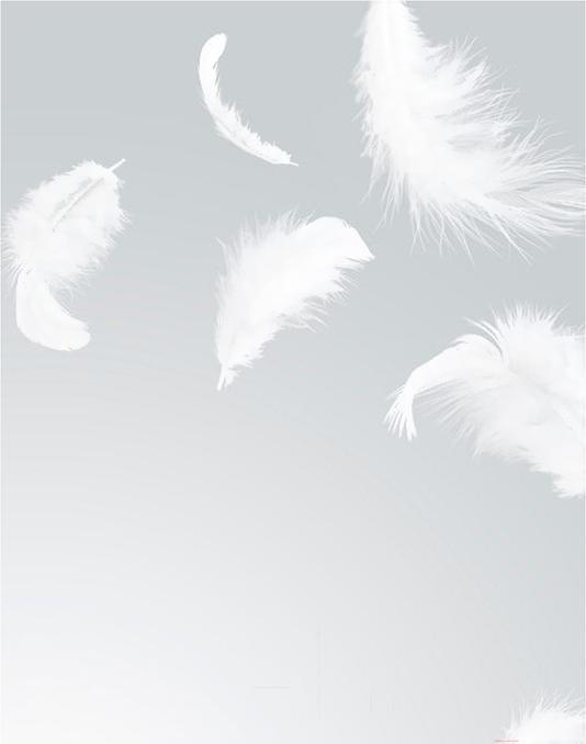 

Фотообои Citydecor Перышки 200x254