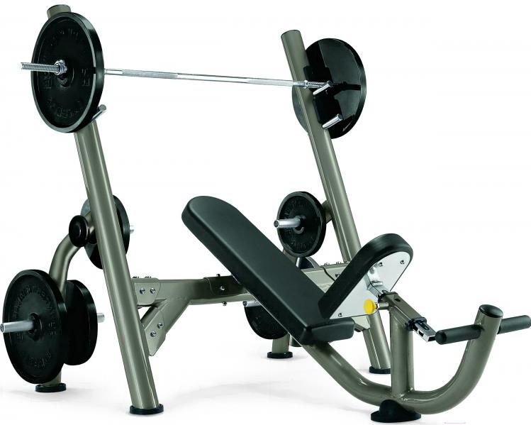 

Скамья для жима Matrix Fitness G3FW14B (1В)/ G3-FW14-02 Iced Silver [G3-FW14_IS], G3FW14B (1В)/ G3-FW14-02